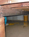 Mold and rot thriving in a dirt floor crawl space in Ashland