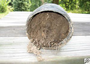 clogged french drain found in Watersmeet, Michigan and Wisconsin