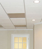 Basement ceiling tiles - Ironwood and Hancock