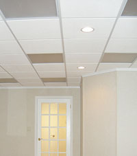 Basement Ceiling Tiles for a project we worked on in Iron River, Michigan and Wisconsin