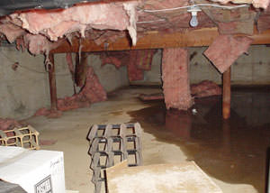 fiberglass insulation dripping off the ceiling of a crawl space in Minocqua.