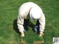 Restoring the landscaping by replacing removed sod on the ground for a Phillips home.