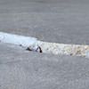 Slab floor cracks showing in a Wakefield home