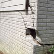foundation walls cracked due to settlement in Ashland