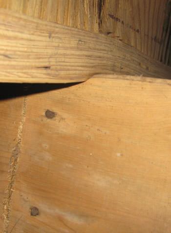 severe damage to a crawl space structure in a Minocqua home
