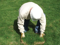 Restoring the landscaping by replacing removed lawn sections for a Ironwood home.