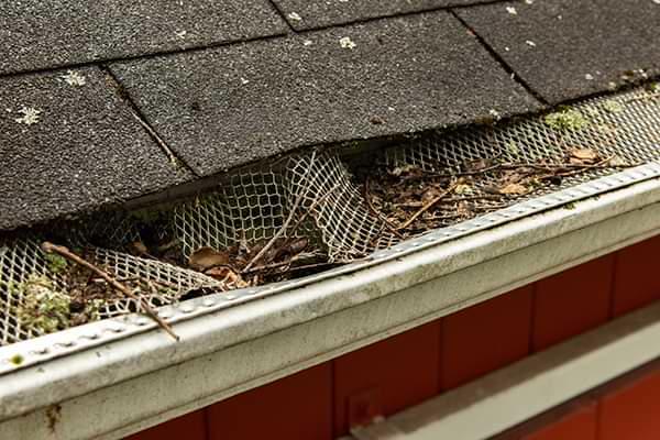 Michigan and Wisconsin clogged gutters