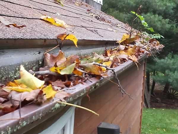 Upper Peninsula clogged gutters