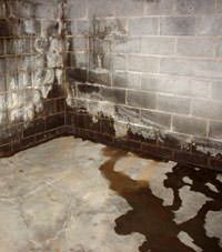 Water seeping through a concrete wall in a Hurley basement