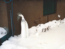 IceGuard® Installed Escanaba